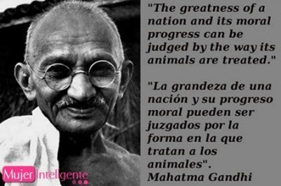 frases celebres de Gandhi animales
