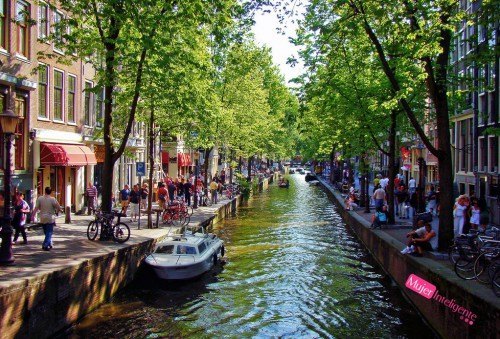 Visita Ámsterdam en un día